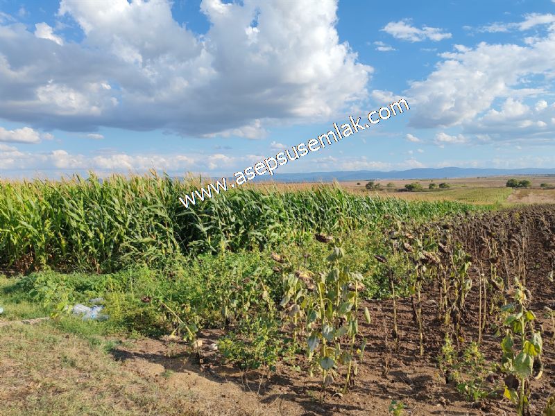 4.735 m2 Kadastro Yola Cepheli Çiftlik Bağ-Bahçe K.Pompaj Su Var