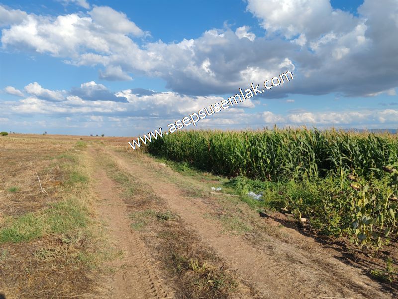 4.735 m2 Kadastro Yola Cepheli Çiftlik Bağ-Bahçe K.Pompaj Su Var