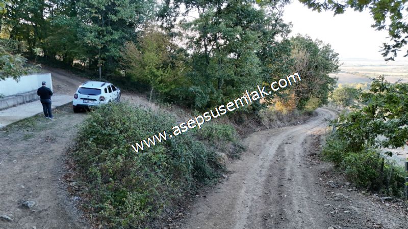 5.600 M2 Çiftlik, Hobi Bağ-Bahçe Kadastro Yolu Var, Hayvancılık