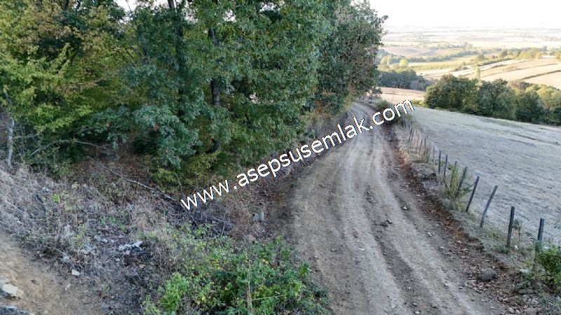 5.600 M2 Çiftlik, Hobi Bağ-Bahçe Kadastro Yolu Var, Hayvancılık