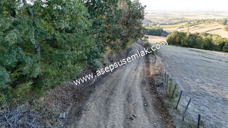 5.600 M2 Çiftlik, Hobi Bağ-Bahçe Kadastro Yolu Var, Hayvancılık