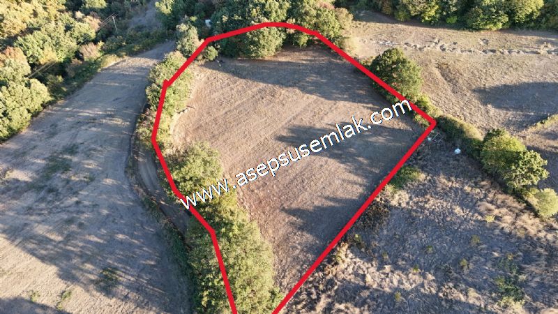 5.600 M2 Çiftlik, Hobi Bağ-Bahçe Kadastro Yolu Var, Hayvancılık