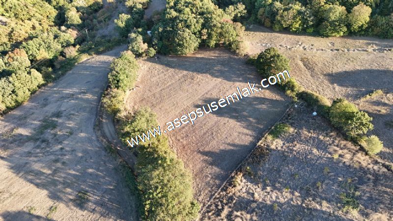 5.600 M2 Çiftlik, Hobi Bağ-Bahçe Kadastro Yolu Var, Hayvancılık