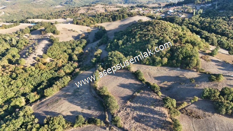 5.600 M2 Çiftlik, Hobi Bağ-Bahçe Kadastro Yolu Var, Hayvancılık