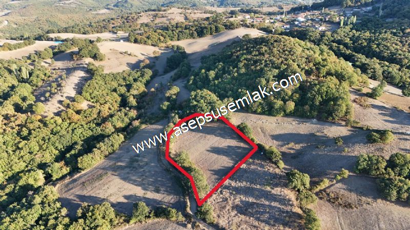 5.600 M2 Çiftlik, Hobi Bağ-Bahçe Kadastro Yolu Var, Hayvancılık