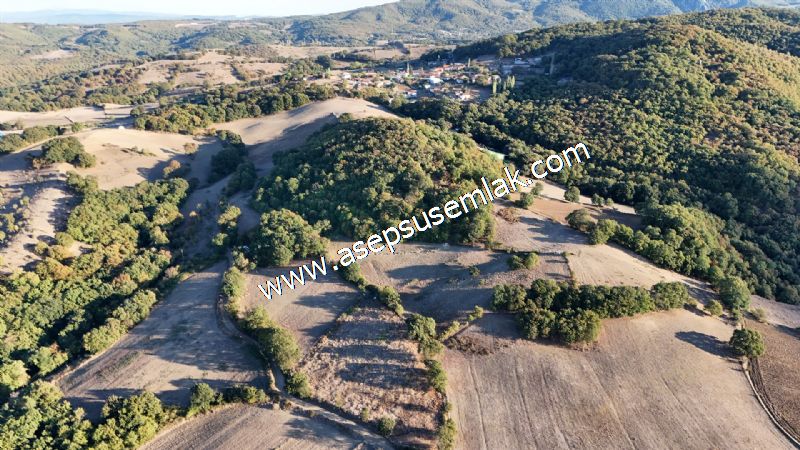 5.600 M2 Çiftlik, Hobi Bağ-Bahçe Kadastro Yolu Var, Hayvancılık