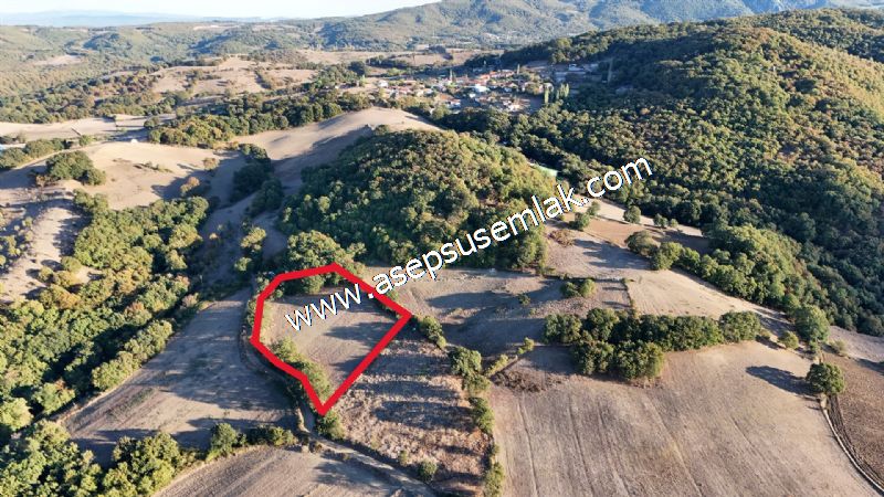 5.600 M2 Çiftlik, Hobi Bağ-Bahçe Kadastro Yolu Var, Hayvancılık