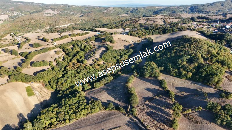 5.600 M2 Çiftlik, Hobi Bağ-Bahçe Kadastro Yolu Var, Hayvancılık