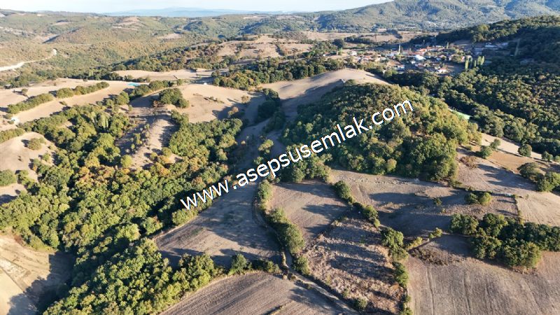 5.600 M2 Çiftlik, Hobi Bağ-Bahçe Kadastro Yolu Var, Hayvancılık