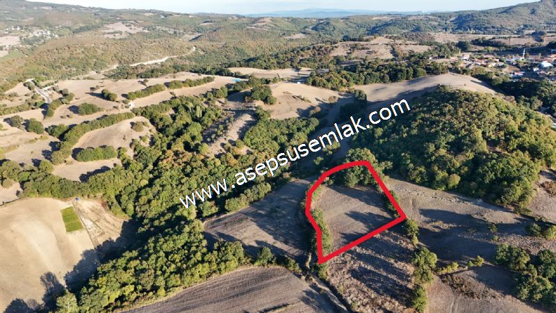 5.600 M2 Çiftlik, Hobi Bağ-Bahçe Kadastro Yolu Var, Hayvancılık