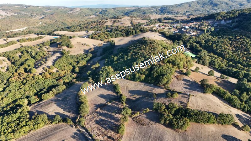 5.600 M2 Çiftlik, Hobi Bağ-Bahçe Kadastro Yolu Var, Hayvancılık