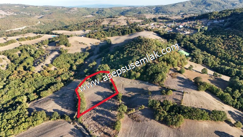 5.600 M2 Çiftlik, Hobi Bağ-Bahçe Kadastro Yolu Var, Hayvancılık