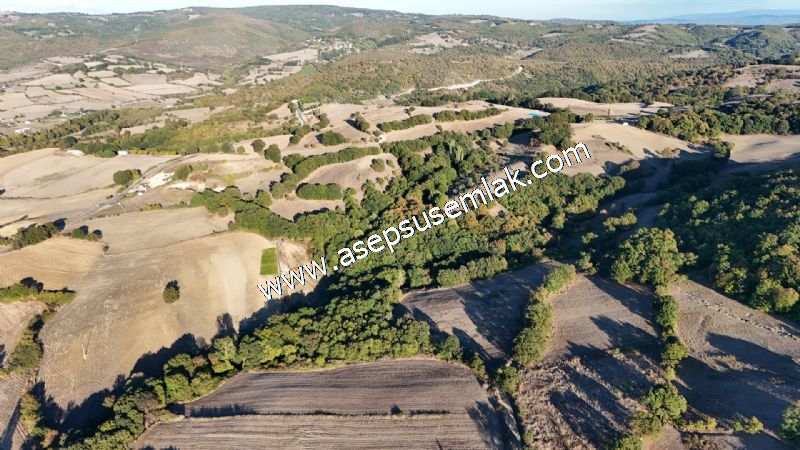 5.600 M2 Çiftlik, Hobi Bağ-Bahçe Kadastro Yolu Var, Hayvancılık