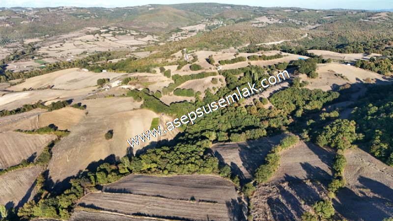 5.600 M2 Çiftlik, Hobi Bağ-Bahçe Kadastro Yolu Var, Hayvancılık