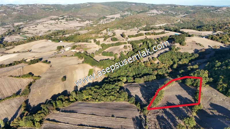 5.600 M2 Çiftlik, Hobi Bağ-Bahçe Kadastro Yolu Var, Hayvancılık