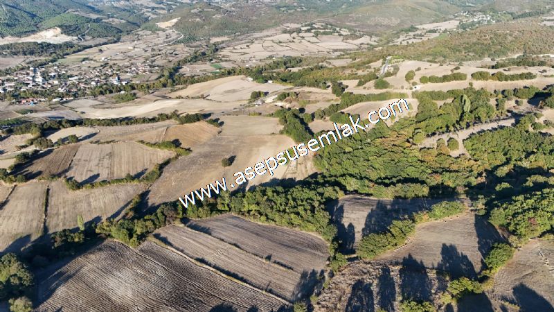 5.600 M2 Çiftlik, Hobi Bağ-Bahçe Kadastro Yolu Var, Hayvancılık
