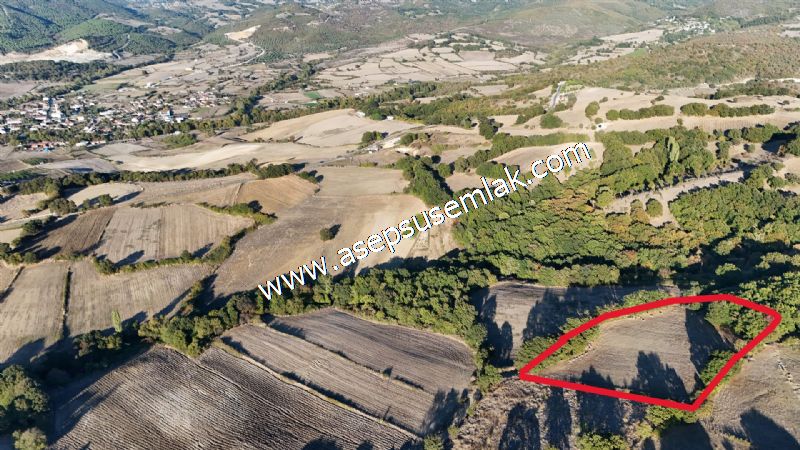5.600 M2 Çiftlik, Hobi Bağ-Bahçe Kadastro Yolu Var, Hayvancılık