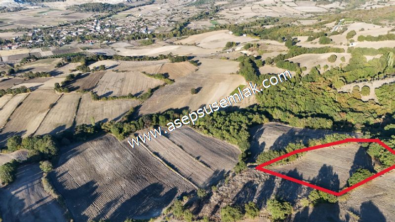 5.600 M2 Çiftlik, Hobi Bağ-Bahçe Kadastro Yolu Var, Hayvancılık