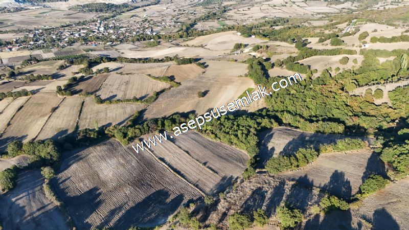 5.600 M2 Çiftlik, Hobi Bağ-Bahçe Kadastro Yolu Var, Hayvancılık
