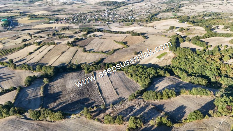 5.600 M2 Çiftlik, Hobi Bağ-Bahçe Kadastro Yolu Var, Hayvancılık