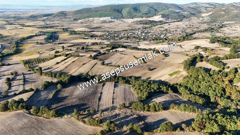 5.600 M2 Çiftlik, Hobi Bağ-Bahçe Kadastro Yolu Var, Hayvancılık