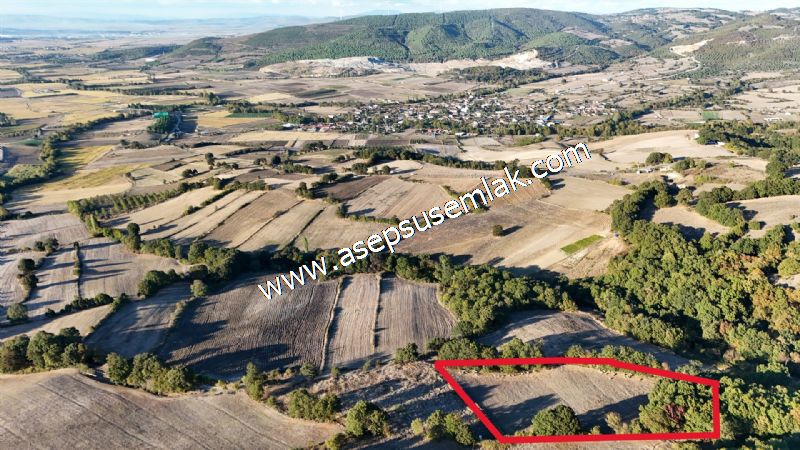 5.600 M2 Çiftlik, Hobi Bağ-Bahçe Kadastro Yolu Var, Hayvancılık