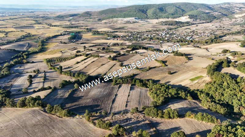 5.600 M2 Çiftlik, Hobi Bağ-Bahçe Kadastro Yolu Var, Hayvancılık