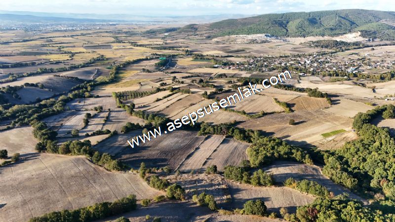5.600 M2 Çiftlik, Hobi Bağ-Bahçe Kadastro Yolu Var, Hayvancılık