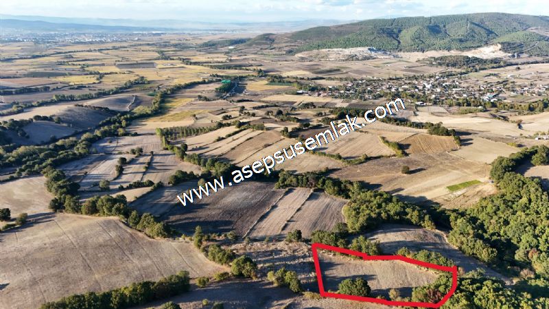 5.600 M2 Çiftlik, Hobi Bağ-Bahçe Kadastro Yolu Var, Hayvancılık
