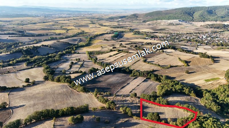 5.600 M2 Çiftlik, Hobi Bağ-Bahçe Kadastro Yolu Var, Hayvancılık