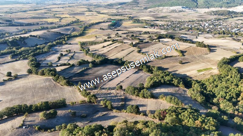 5.600 M2 Çiftlik, Hobi Bağ-Bahçe Kadastro Yolu Var, Hayvancılık