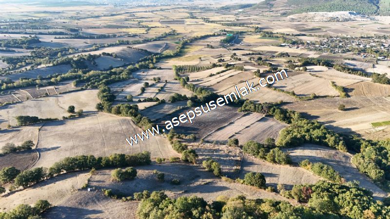 5.600 M2 Çiftlik, Hobi Bağ-Bahçe Kadastro Yolu Var, Hayvancılık