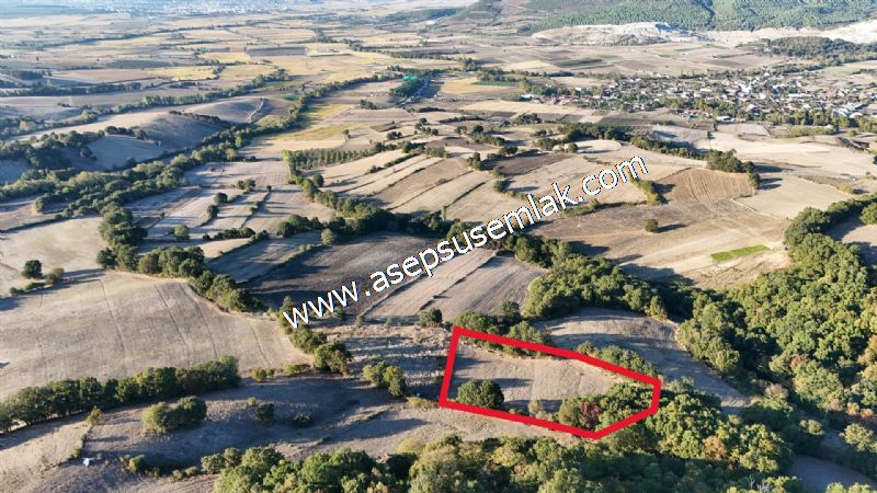 5.600 M2 Çiftlik, Hobi Bağ-Bahçe Kadastro Yolu Var, Hayvancılık
