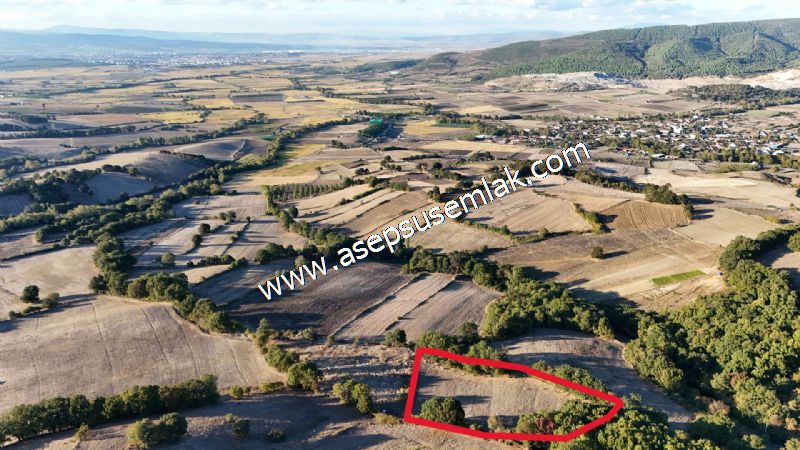 5.600 M2 Çiftlik, Hobi Bağ-Bahçe Kadastro Yolu Var, Hayvancılık