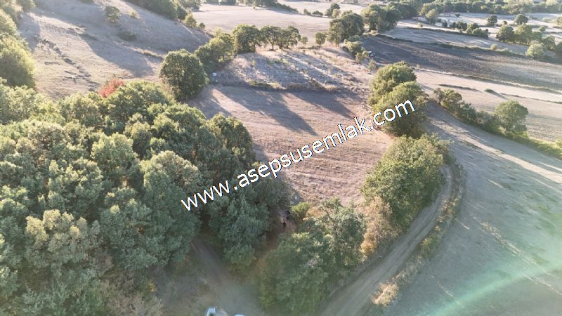 5.600 M2 Çiftlik, Hobi Bağ-Bahçe Kadastro Yolu Var, Hayvancılık