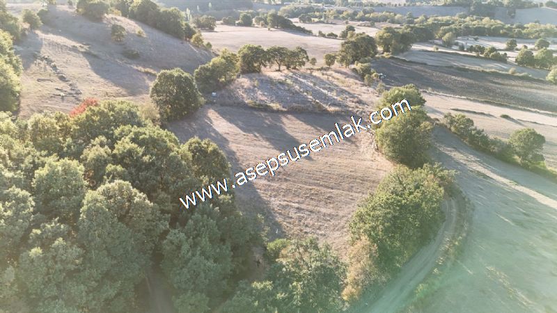 5.600 M2 Çiftlik, Hobi Bağ-Bahçe Kadastro Yolu Var, Hayvancılık