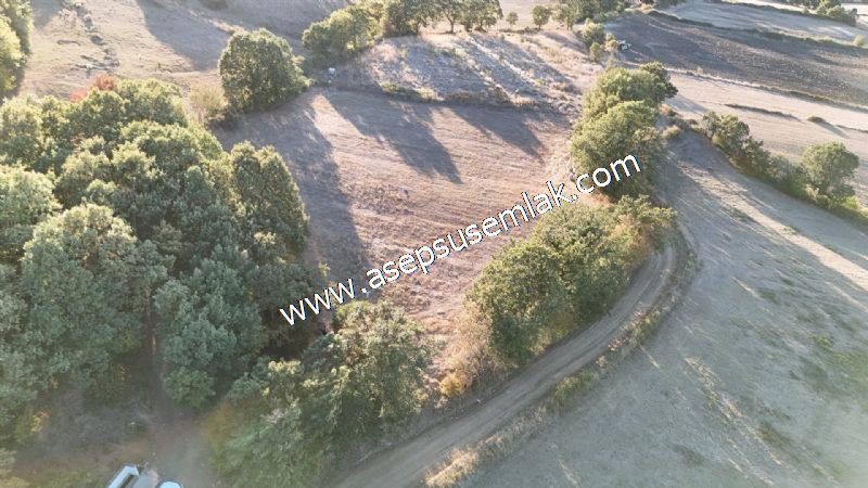 5.600 M2 Çiftlik, Hobi Bağ-Bahçe Kadastro Yolu Var, Hayvancılık