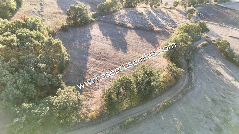5.600 M2 Çiftlik, Hobi Bağ-Bahçe Kadastro Yolu Var, Hayvancılık