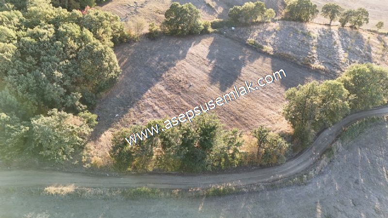 5.600 M2 Çiftlik, Hobi Bağ-Bahçe Kadastro Yolu Var, Hayvancılık
