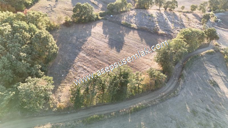 5.600 M2 Çiftlik, Hobi Bağ-Bahçe Kadastro Yolu Var, Hayvancılık
