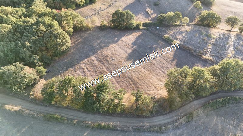 5.600 M2 Çiftlik, Hobi Bağ-Bahçe Kadastro Yolu Var, Hayvancılık