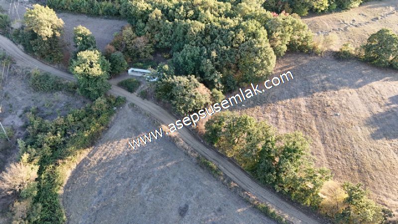 5.600 M2 Çiftlik, Hobi Bağ-Bahçe Kadastro Yolu Var, Hayvancılık
