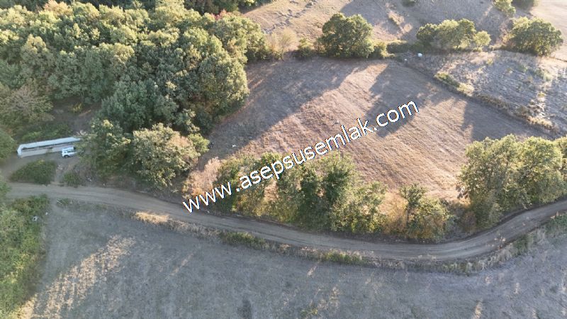 5.600 M2 Çiftlik, Hobi Bağ-Bahçe Kadastro Yolu Var, Hayvancılık