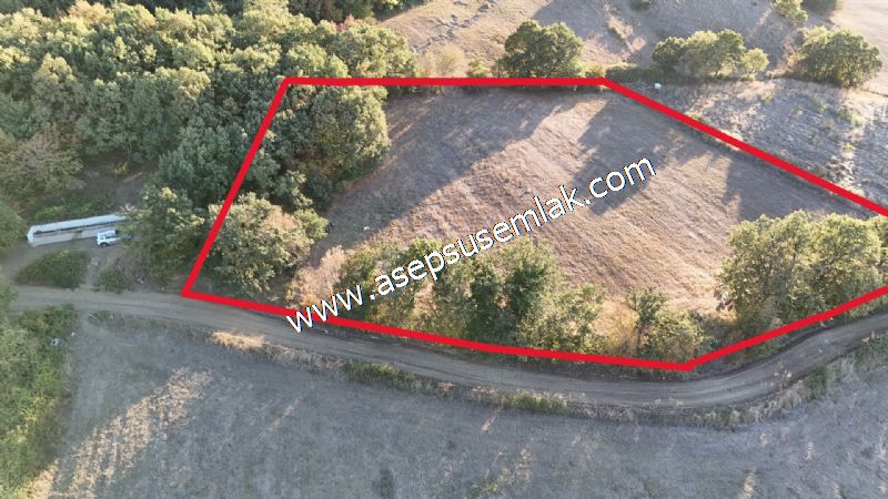 5.600 M2 Çiftlik, Hobi Bağ-Bahçe Kadastro Yolu Var, Hayvancılık