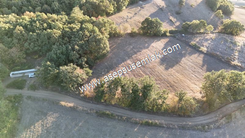 5.600 M2 Çiftlik, Hobi Bağ-Bahçe Kadastro Yolu Var, Hayvancılık