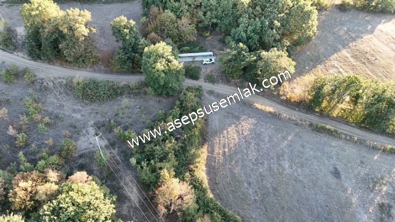 5.600 M2 Çiftlik, Hobi Bağ-Bahçe Kadastro Yolu Var, Hayvancılık