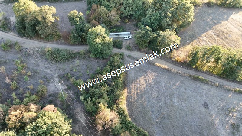 5.600 M2 Çiftlik, Hobi Bağ-Bahçe Kadastro Yolu Var, Hayvancılık