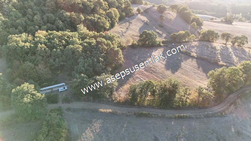 5.600 M2 Çiftlik, Hobi Bağ-Bahçe Kadastro Yolu Var, Hayvancılık