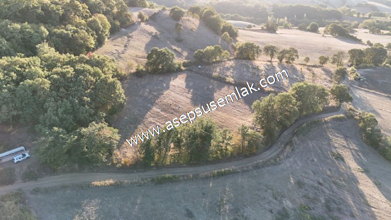 5.600 M2 Çiftlik, Hobi Bağ-Bahçe Kadastro Yolu Var, Hayvancılık