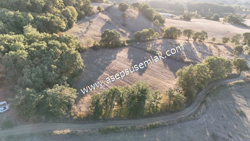 5.600 M2 Çiftlik, Hobi Bağ-Bahçe Kadastro Yolu Var, Hayvancılık